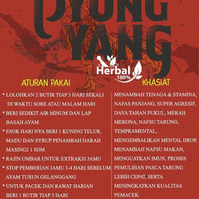 BRIDTIS- Jamu Ayam Aduan Pyongyang