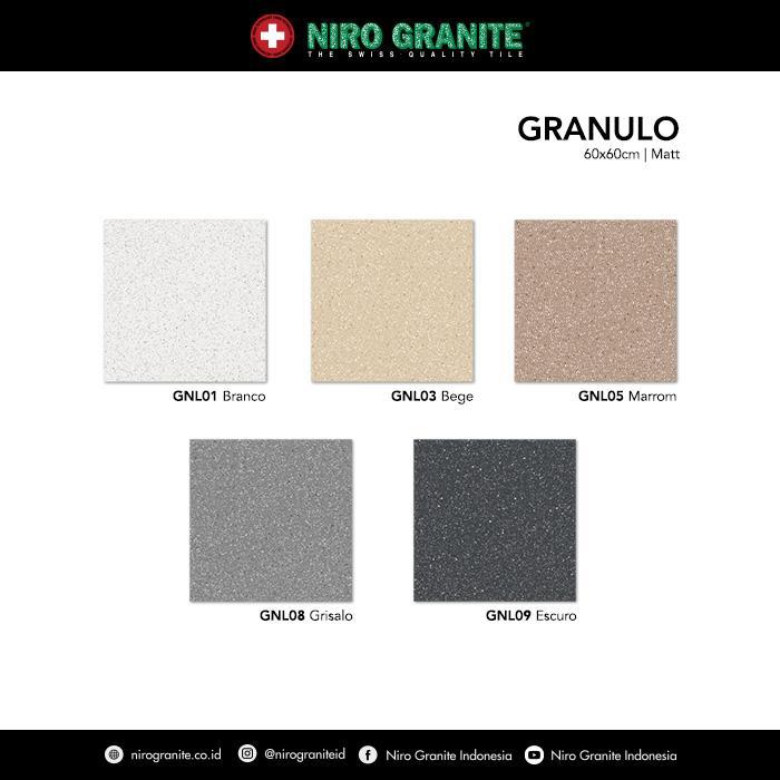 aiw25l- Niro Granite 1St Grade - Granulo Gnl08 - Matt