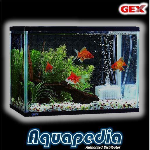 Aquarium Gex Kingyo + Tutup Original