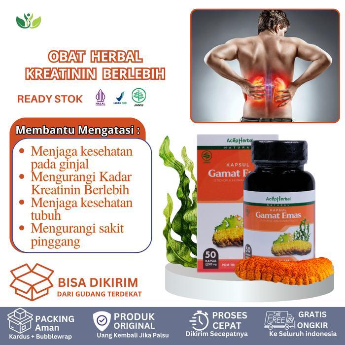 MORNINGGILR- Kapsul Gamat Emas Mengatasi Kreatinin Tinggi, Penurun Kadar Ureum Kreatinin, Ginjal