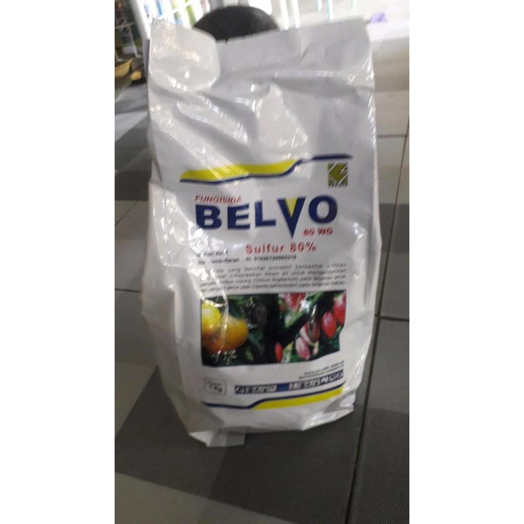 PROMO fungisida belvo 80wg 1 kg