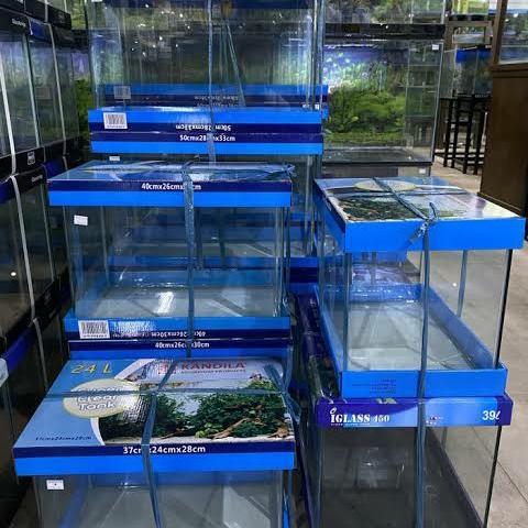 Aquarium bending tanpa sambungan kandila 46L (50cm x 28cm x 33cm)