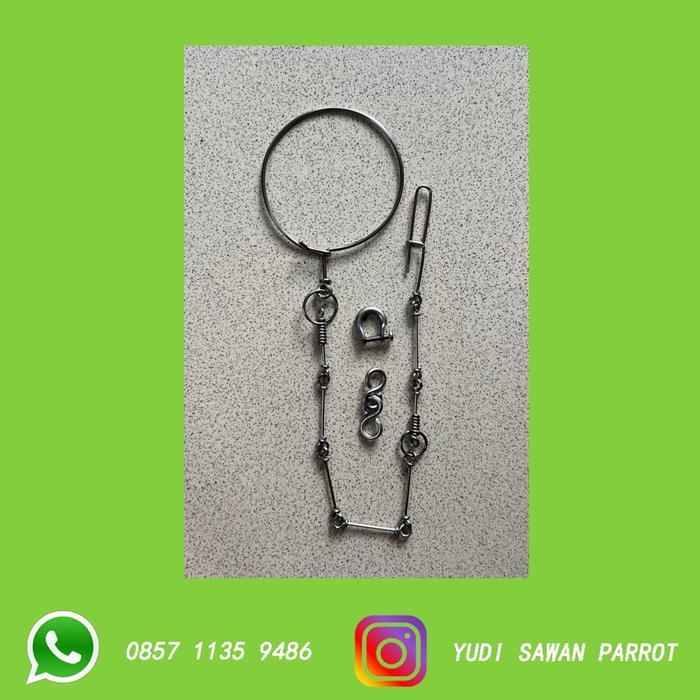 R06 Rantai Rante Burung Kakatua Afgrey Jambul Kuning Galah Severe