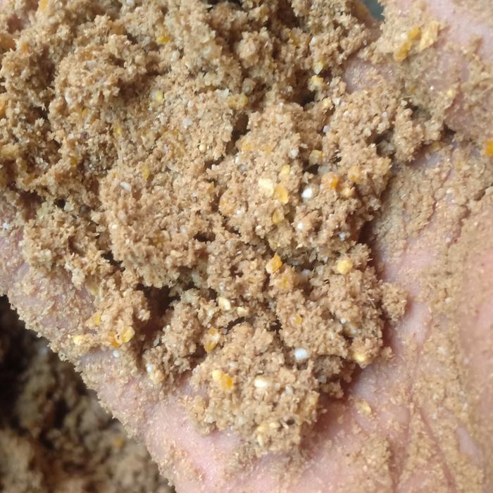 MAKANAN AYAM BEBEK DEDEK DEDAK