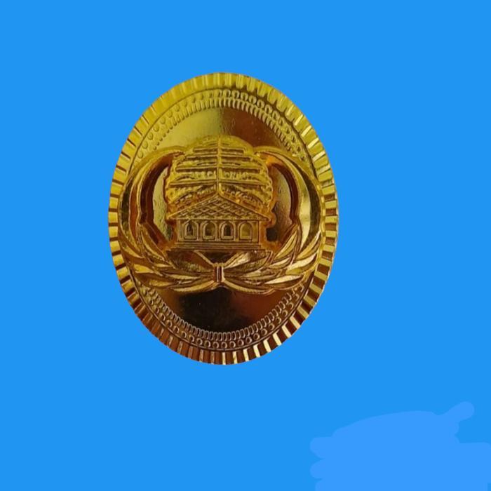 PIN KORPRI ASN LENCANA KORPRI ASN