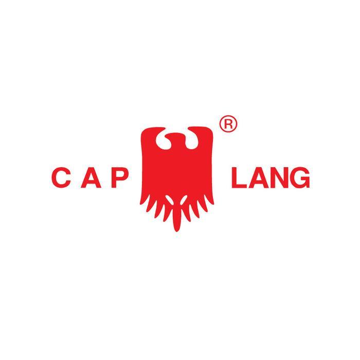 nppe- Cap Lang Minyak Kayu Putih Ambonia 100Ml