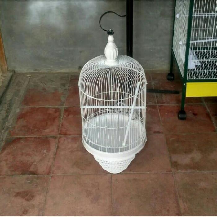 Kandang burung glatik parkit Kolibri dll