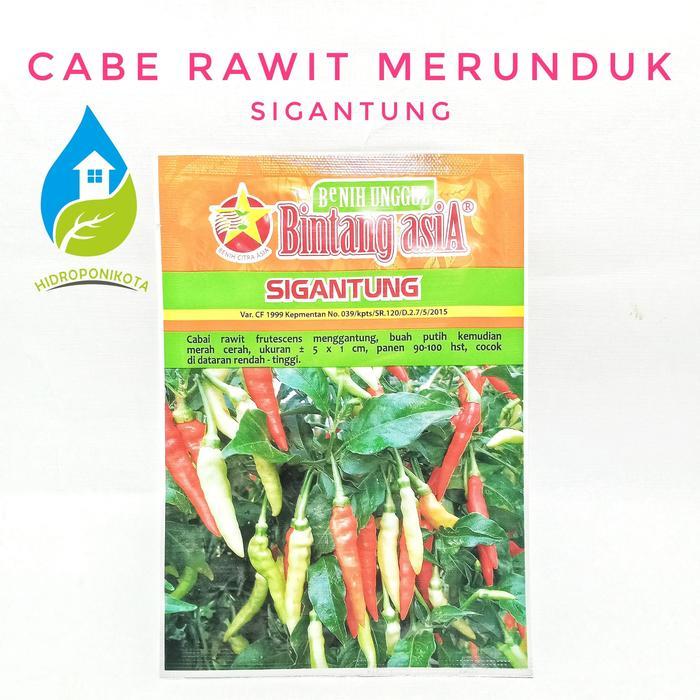 ID CABE RAWIT MERUNDUK SIGANTUNG - CABAI RAWIT