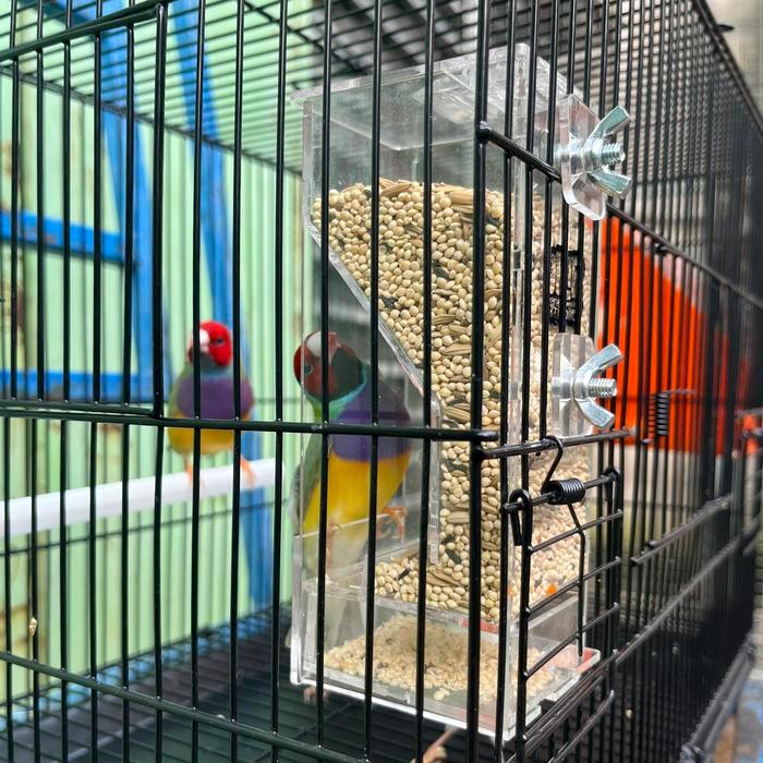 Dispenser Pakan Burung Finch Gould Amadine Kenari Emprit Jepang Gelatik Perkutut dll