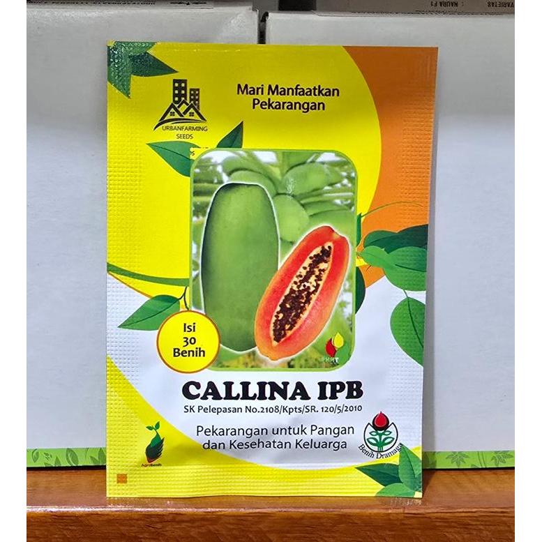 Disc Benih Pepaya Callina IPB (IPB9)