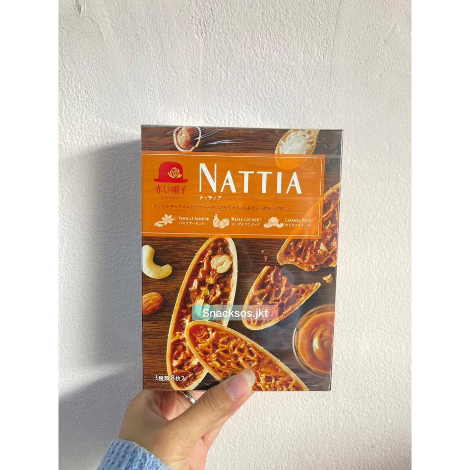 TIVOLI NATTIA COOKIES KUKKIA JEPANG