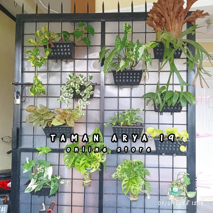 POT DINDING VERTICAL GARDEN