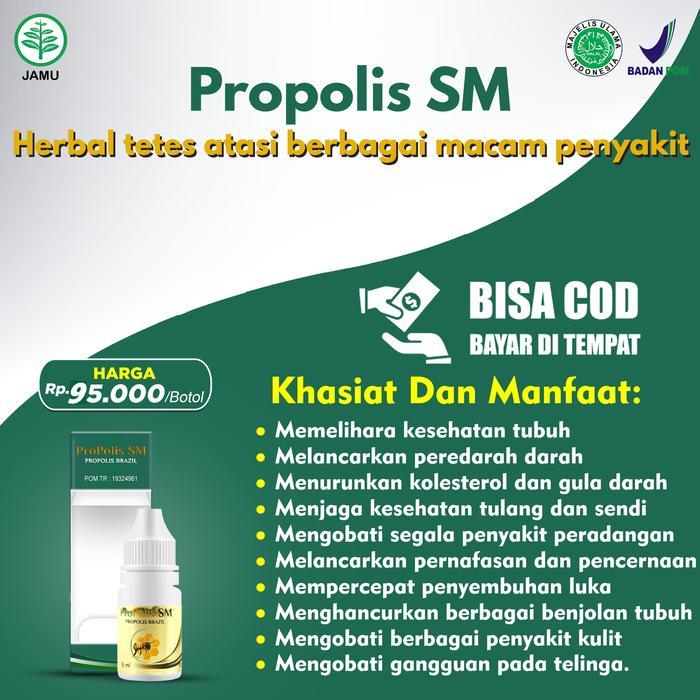 MORNINGGILR- Obat Anak Sakit Gigi - Gusi Bengkak Dan Nyeri Pada Anak - Propolis Sm