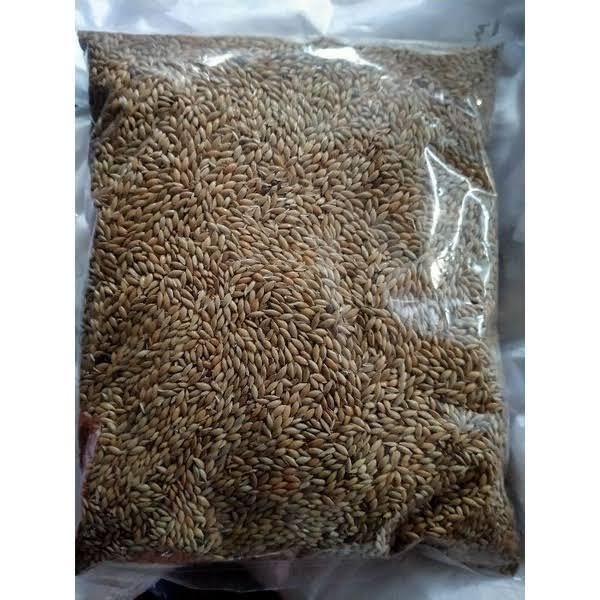 Kenari Seed 1 Kg