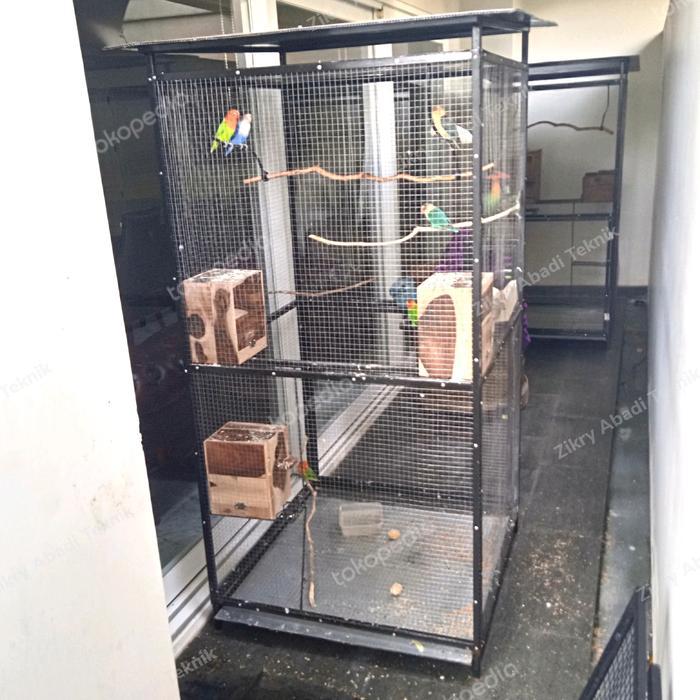 SANGKAR KANDANG UMBARAN TERNAK BURUNG KOLONI LOVEBIRD MURAI ALBINO