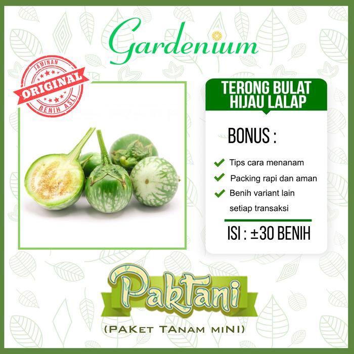 PAKET 7 MACAM BENIH SAYURAN LALAP ( KEMANGI TERONG SELADA MERAH MENTIMUN TOMAT SAYUR )