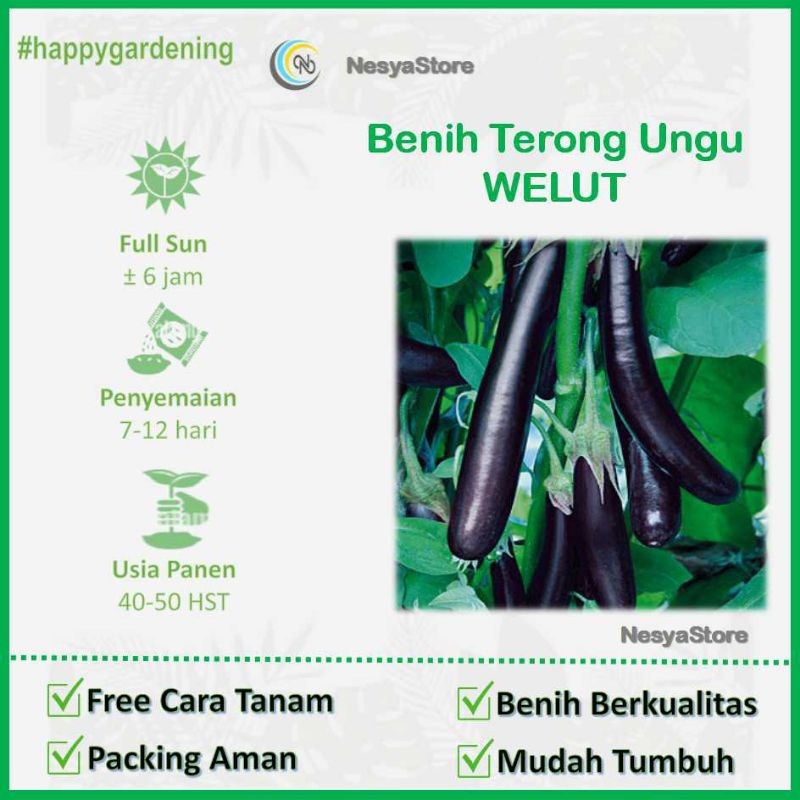 40 Benih Terong Ungu Panjang Merk Bintang Asia Welut - Benih Bibit Sayur Sayuran