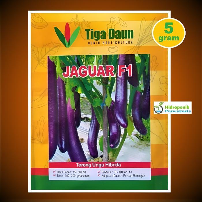 FARM- Benih Terong Ungu Jaguar F1 Isi 5 Gram Cap Tiga Daun
