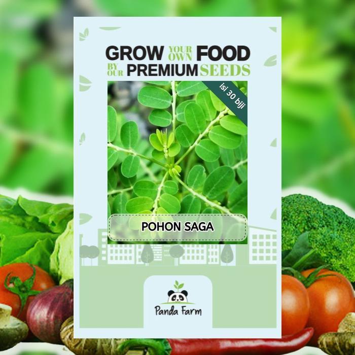 Benih Pohon Saga Panda Farm