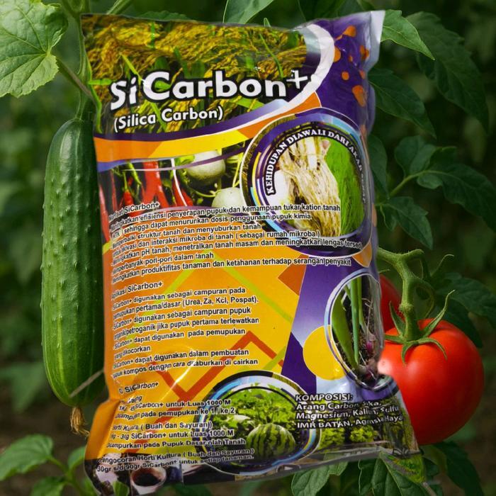 SiCarbon silika carbon Jagung Pupuk Tanaman Tanah