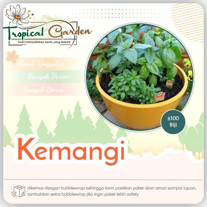 Benih Biji Kemangi Benih Sayuran Unggul Bibit Kemangi COD