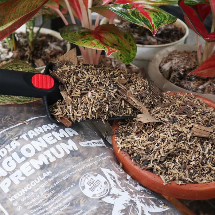 FARM- Media Tanam Aglonema Fermentasi Media Tanam Premium 2,5Kg By Planteria.Id Tanah