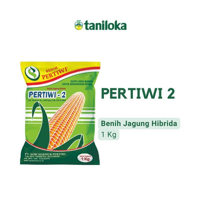 Benih Pertiwi - Benih Jagung Hibrida Pertiwi 2 (1 Kg)