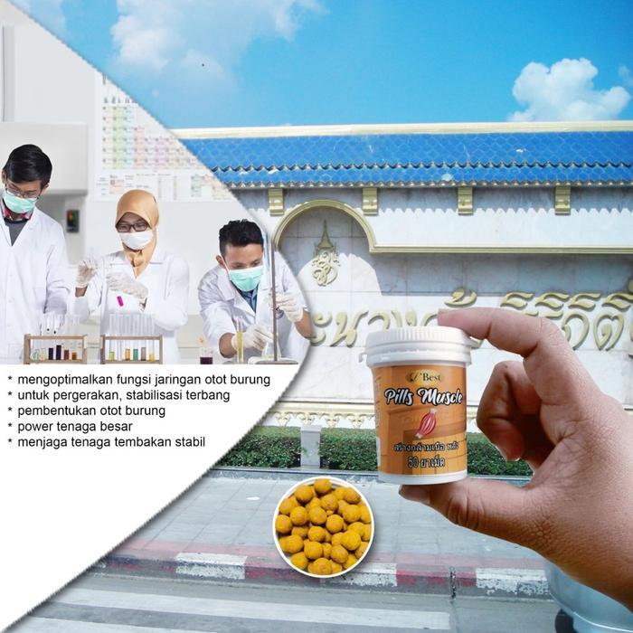 JAMU BURUNG BEST PILLS MUSCLE HERBAL BURUNG MERPATI DARA POS TINGGIAN