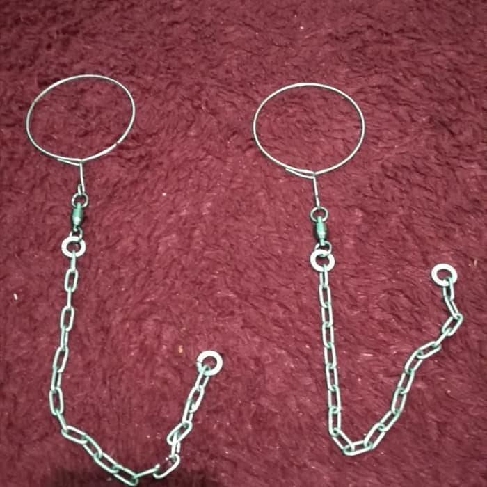 RANTAI AFGREY / MACAW / KAKATUA