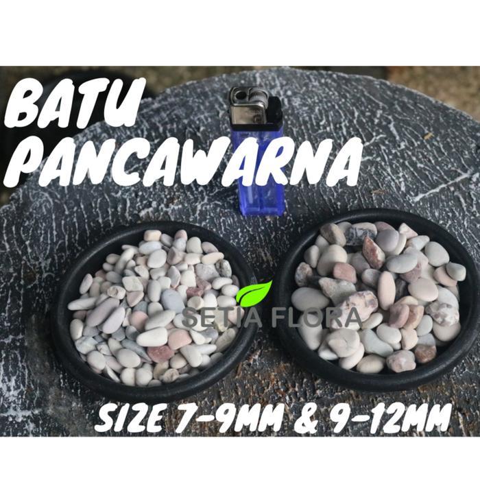 Batu Alam Hias Tanaman Pot Pancawarna Karungan Via Cargo