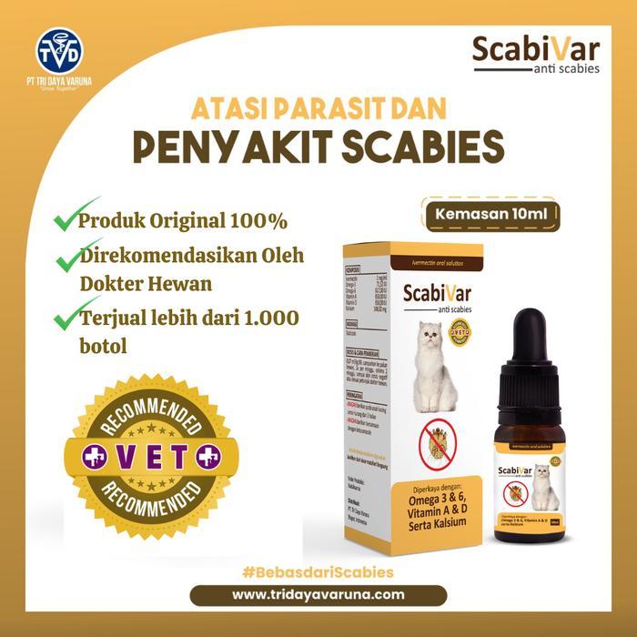 Petkit Mart - Scabies Skabies Kudis Budukan Keropeng Kebotakan Kucing