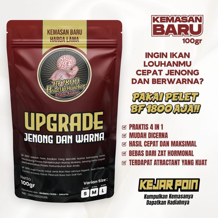 Pelet Bf 1800 & Bf 800 Strong Collor Warna Big Head Kok Pakan Louhan