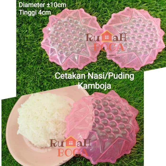 Cetakan Nasi Makanan Kue Apem Kukus Bento Mini Bunga Kamboja Plastik
