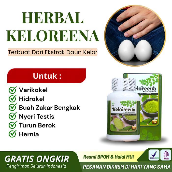Suplemen Varikokel Pembengkakan Buah Zakar Nyeri Testis Hidrokel Buah Zakar Bengkak Sebelah Testis