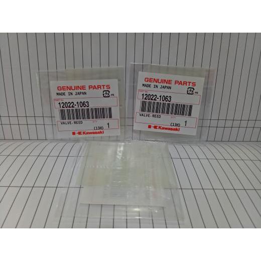 Lidah Membran KX Kawasaki Ninja R/Ninja RR Original Japan *