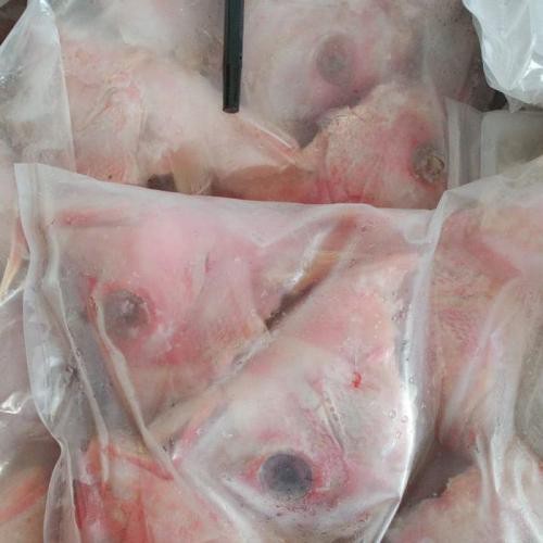 Kepala Kakap Merah Frozen Fresh