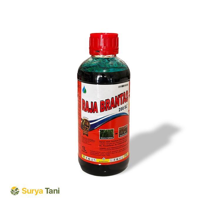 Raja Brantas Obat Kontak Pembasmi Rumput