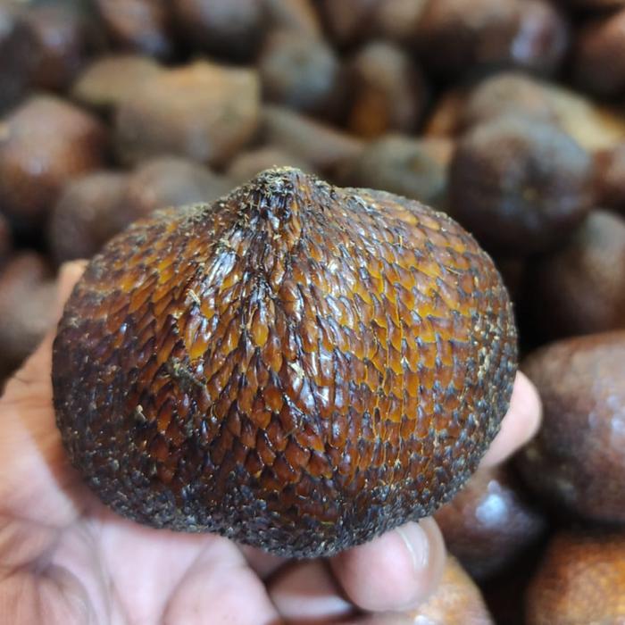 Buah salak pondo pondok pondoh /ons /100gr manis yogya sleman jogja