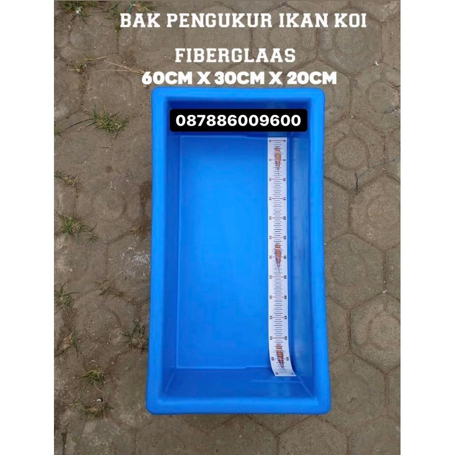 BAK UKUR IKAN KOI 60 x 30 x 20 cm
