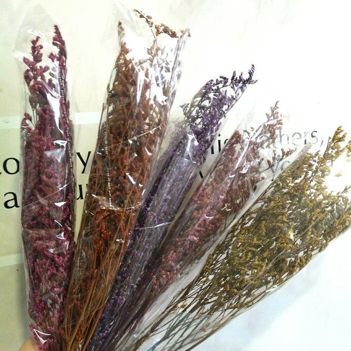 TERBARU Caspia flower preserved / dried flower / bunga caspea colored