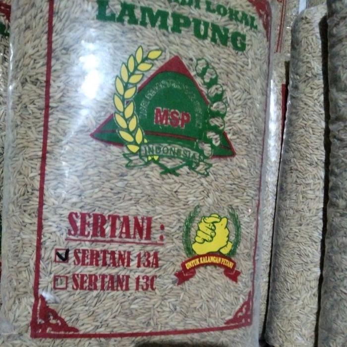 Benih padi sertani 13a 5kg