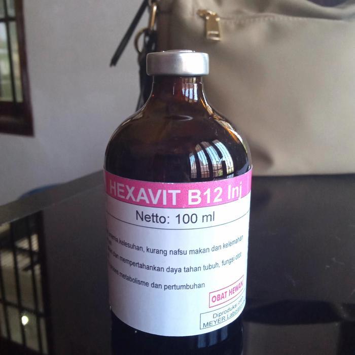 HEXAVIT B12.INJ ,VITAMIN B12 UNTUK HEWAN.