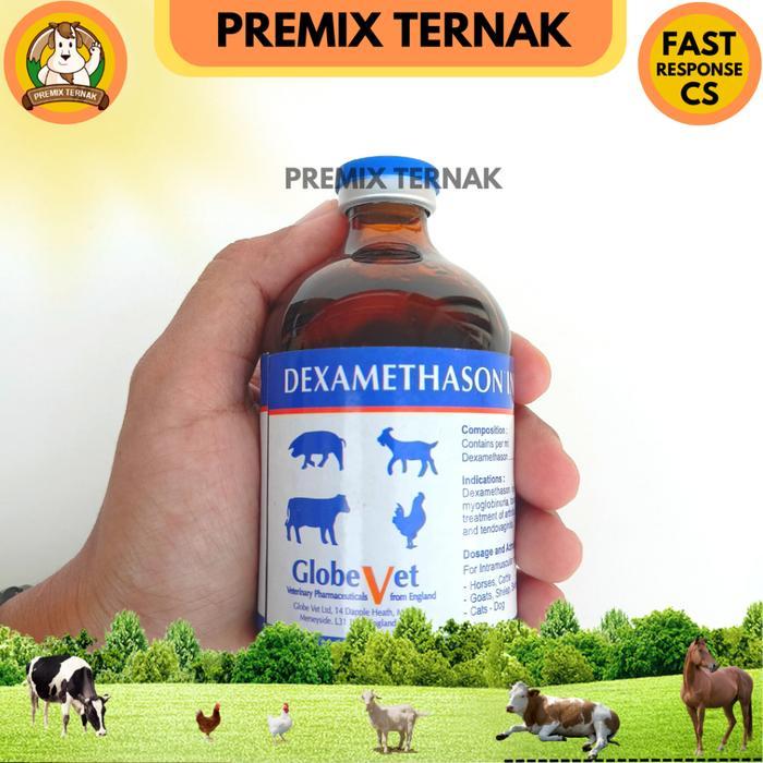 DEXA GLOBE VET 100 ML - DEXAMETHASON PANTEX HOLLAND