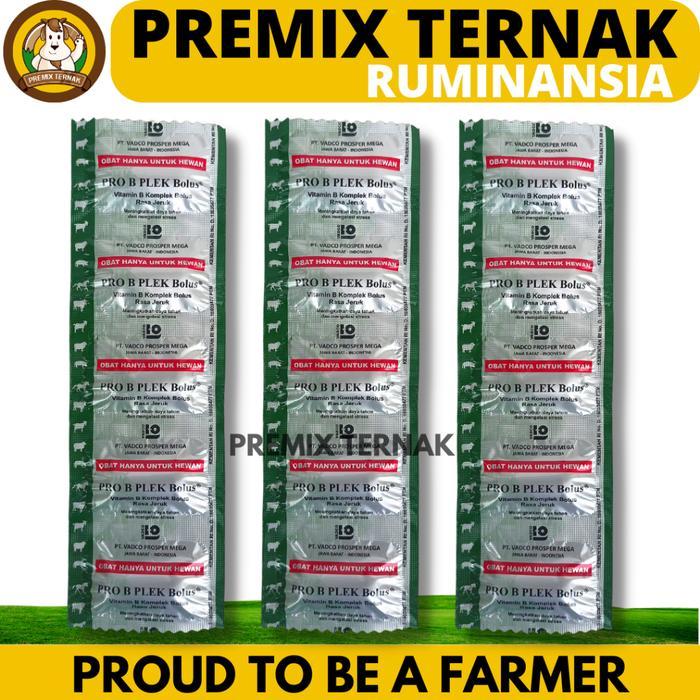 PRO B PLEK BOLUS 1 DUS (50 BOLUS) VADCO - VITAMIN B KOMPLEKS HEWAN BOLUS RASA JERUK SAPI DOMBA BABI
