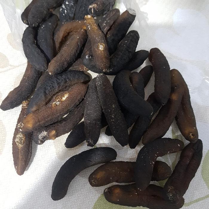 haisom 310gr 40 ekor Teripang Gamat haisom pasir belitung