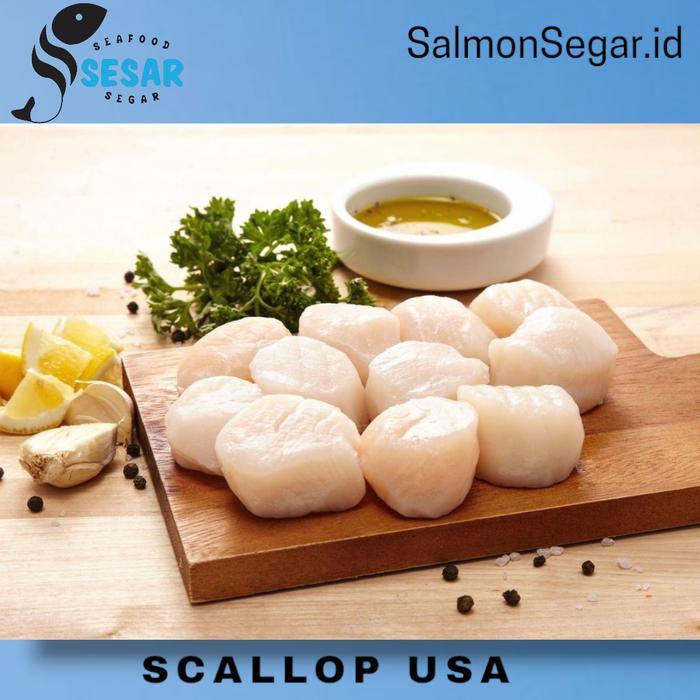 Scallop US / Kerang Kampak / Kerang Simping Jumbo / Scalop USA Premium