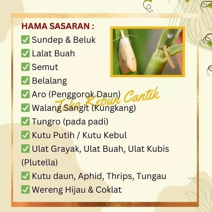 asyifashops Insektisida Ulat ANTILAT 500ML Solusi Organik Pembasmi Ulat Daun Ulat Padi Ulat Cabe