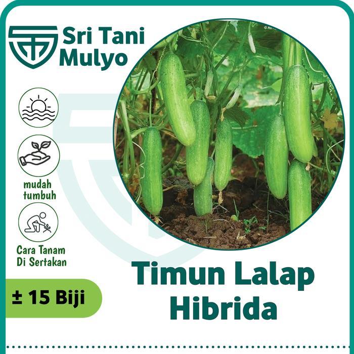 Biji Benih Timun Lalap Hibrida F1 Repack 15 Biji - Bibit Tanaman Sayur Sayuran Toska Jepang