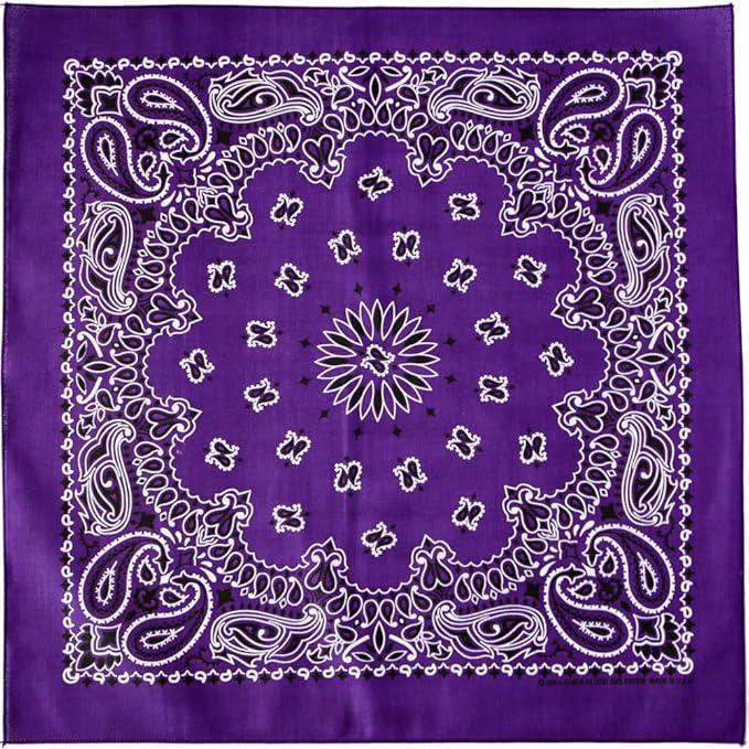 Premium Hav-A-Hank Bandana Paisley Vintage (55 X 55 Cm) Made In Usa Original