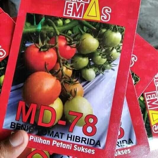 KualitasTerbaik- benih tomat md 78 kemasan origunal 5gr